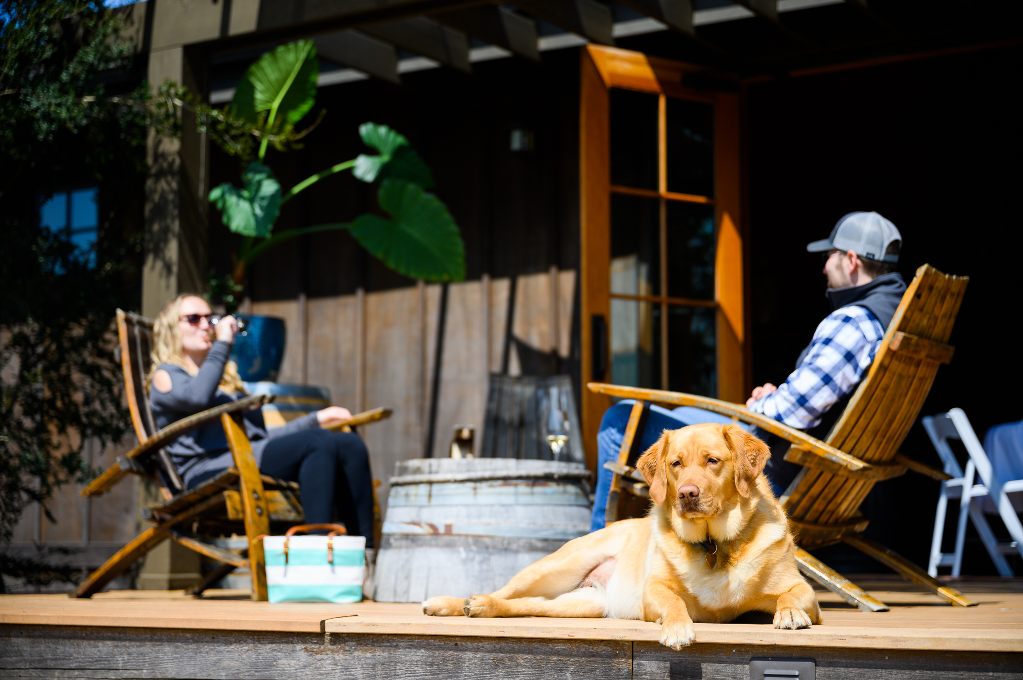 Specials and Gift Packs