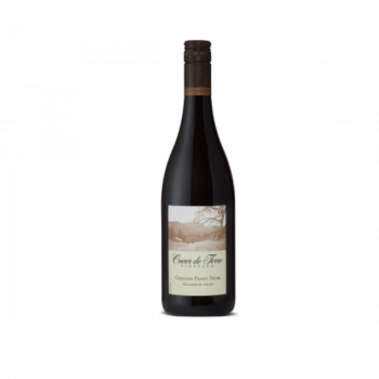 2025 Oregon Pinot Noir 