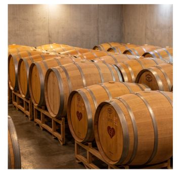 2025 Barrel Sample Pack