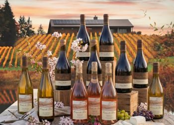 Confrerie Mixed 12btl Initiation