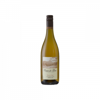 2025 Pinot Gris