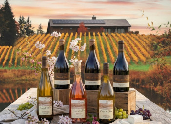 Climat Mixed 6btl Initiation