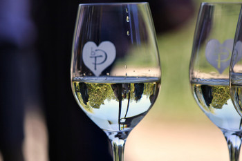 Logo PN Glass